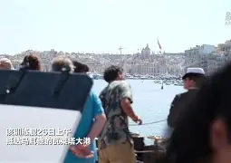 包含孟菲斯灰熊训练开放日；集结日远射贴柱引欢呼；葡超在即；身体对抗强度拉满的词条