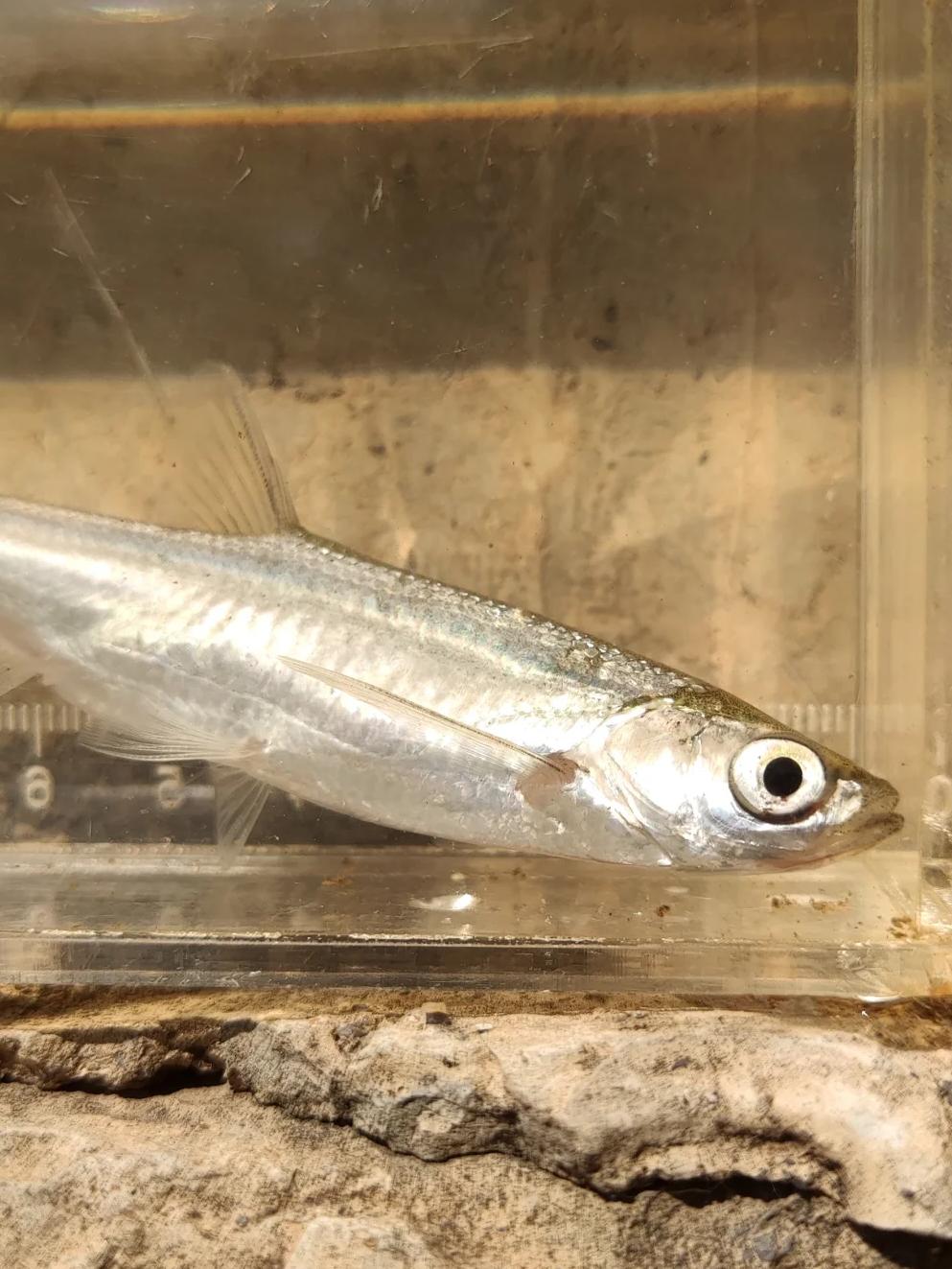 {鮆(京东客服24小时热线人工)