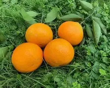 樍#x_??阘?肹b猕C??x誩#4聝D18?/的简单介绍